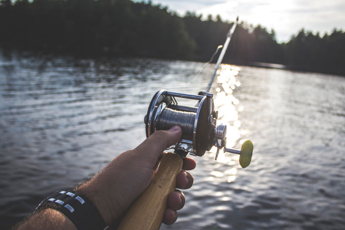 Fishing Reel